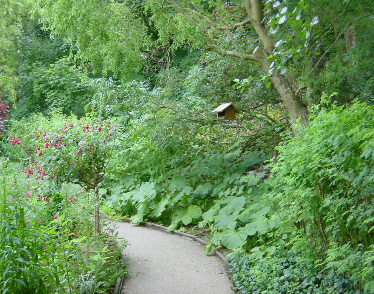 cropped-DSC00642.jpg
