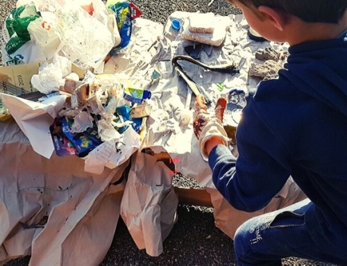 How to Improve Recycling in 7 Simple Steps