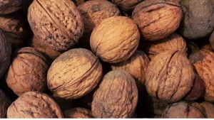 walnuts greener health