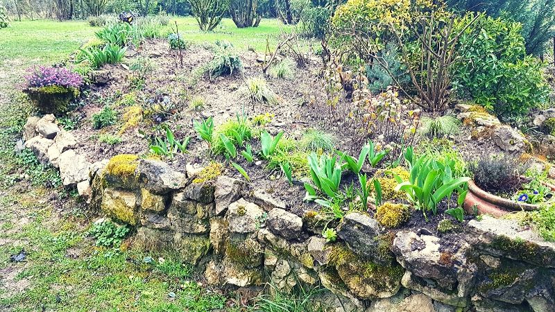 how to conserve biodiversity rock bed with annuals for pollinators