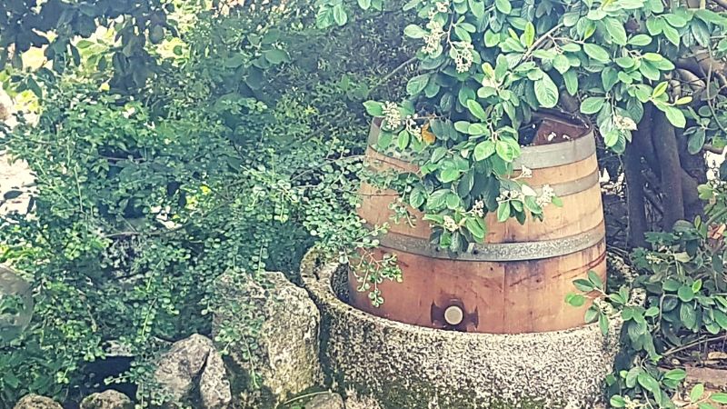 eco-friendly gardening ideas recycled wine barrel
