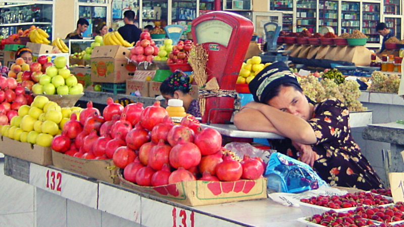 Travel from Home Turkmenistan market
